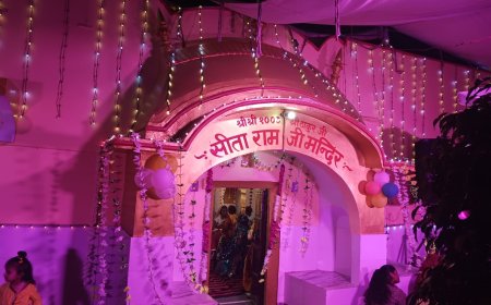 अलवर जिले सहित आसपास के क्षेत्रो में  हर्षोल्लास के साथ मनाया कृष्ण जन्माष्टमी महोत्सव