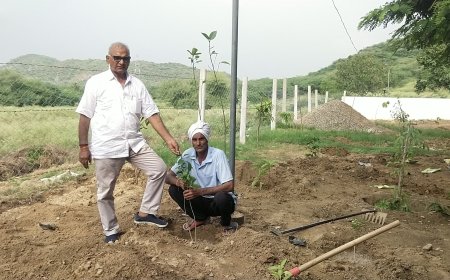 बूढ धाम शिव वाटिका में लगाए पेड़ व फूलों के पौधे,  सहीराम भगत की अनूठी पहल शिव वाटिका को सवारने का काम कर रहे हैं भगत