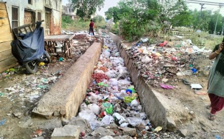 शहर में कई जगह लग रहे कचरे के ढेर,सफाई पर हर साल पांच करोड़ खर्च, फिर भी गंदगी से अटे नाले