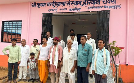 1 करोड़ 57लाख की लागत से बनी हिरवाना चंवरा नंदी गौशाला का 27 अगस्त को जिला कलेक्टर डॉ अरुण गर्ग करेंगे उद्धघाटन