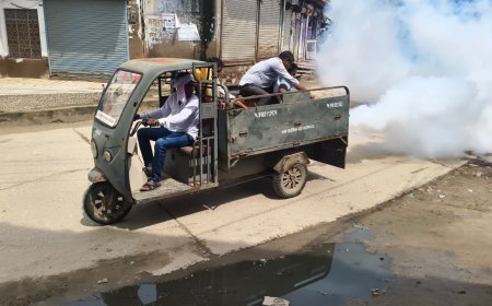 कस्बे में मच्छरों का प्रकोप: नगरपालिका  ने क्षेत्र में कराई फॉगिंग