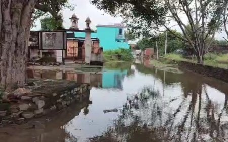 बीजवाड़ चौहान के सरकारी स्कूल के रास्ते व पशु चिकित्सालय परिसर में भरा बरसात का पानी ,विद्यार्थियों को स्कूल पहुंचने में हो रही समस्या