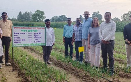 लुपिन ह्यूमन वैलफेयर एण्ड रिसर्च फाउण्डेशन, अलवर रीस्टोर प्रोेटेक्ट कन्ज़र्व फोरेस्ट एण्ड ट्री कवर फॉर एनडीसी इम्लीमेन्टैन्टेशन इन इण्डिया जीआईजेड और लुपिन के मध्य कार्य हेतु किया समझौता