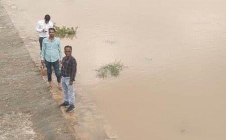 भूमेन्द्र सागर बांध दो दशक बाद लबालब हुआ: 2 इंच की चादर चली