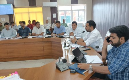 जिला कलक्टर ने ली विकास कार्यों की प्रगति की समीक्षा बैठक