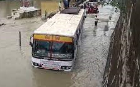 पानी के तेज बहाव में सवारियों से भरी बस निकालने वाले वाहन चालक व परिचालक का लाइसेंस होगा निलंबित