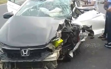 दिल्ली मुंबई एक्सप्रेस वे पर चालक को आई नींद की झपकी चार लोग गंभीर रूप से घायल अलवर रैफर