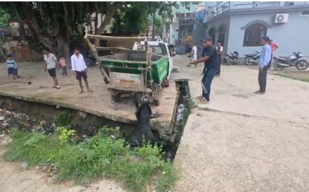 सफाई ठेकेदार की लापरवाही नाले नालियों में गंदगी का आलम पशु गिर कर हो रहे घायल