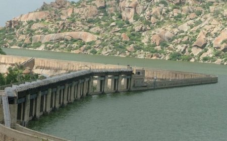 जवाई बांध का गेज बढ़कर पहुंचा 55.50 फीट पार, किसानों की फसलों को मिला जीवनदान