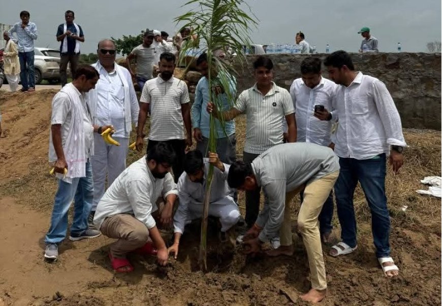 पूर्व विधायक महरूम जुबेर खान के जन्मदिन पर पौधारोपण उनके जीवन परिचय पर डाला प्रकाश