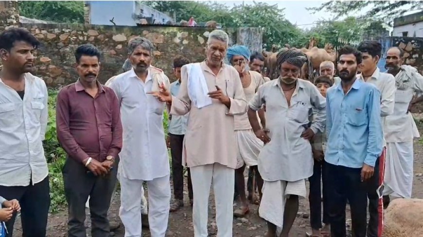 राजपुर बड़ा गांव में तेंदुए ने किया ऊंट का शिकार