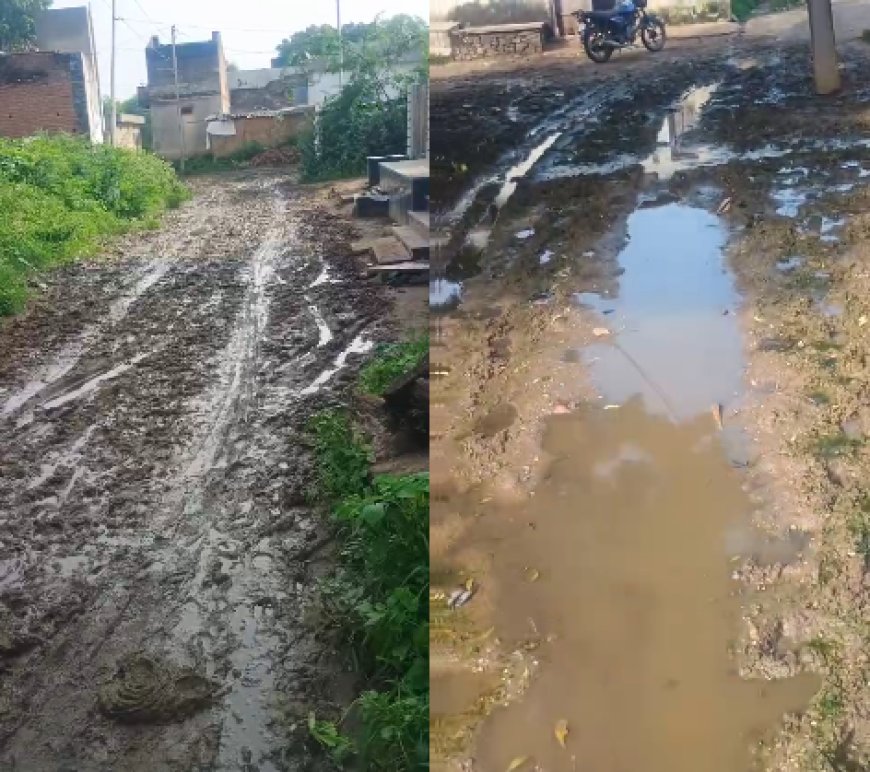 चैनाका खेड़ा रोड की हालत बदहालः कीचड़, जलभराव और गड्डों से भरी सड़क, ग्रामीणों का आवागमन हुआ मुश्किल