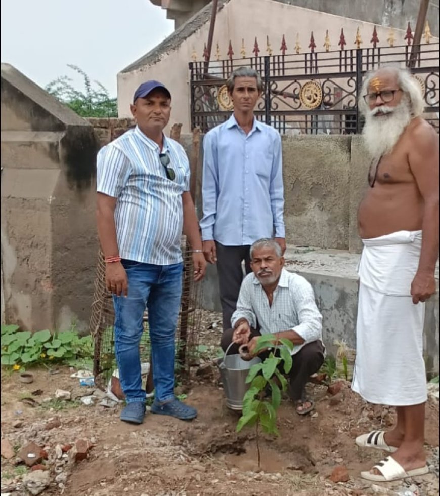 ममलेश्वर मंदिर परिसर में पार्षद ने किया पौधरोपण