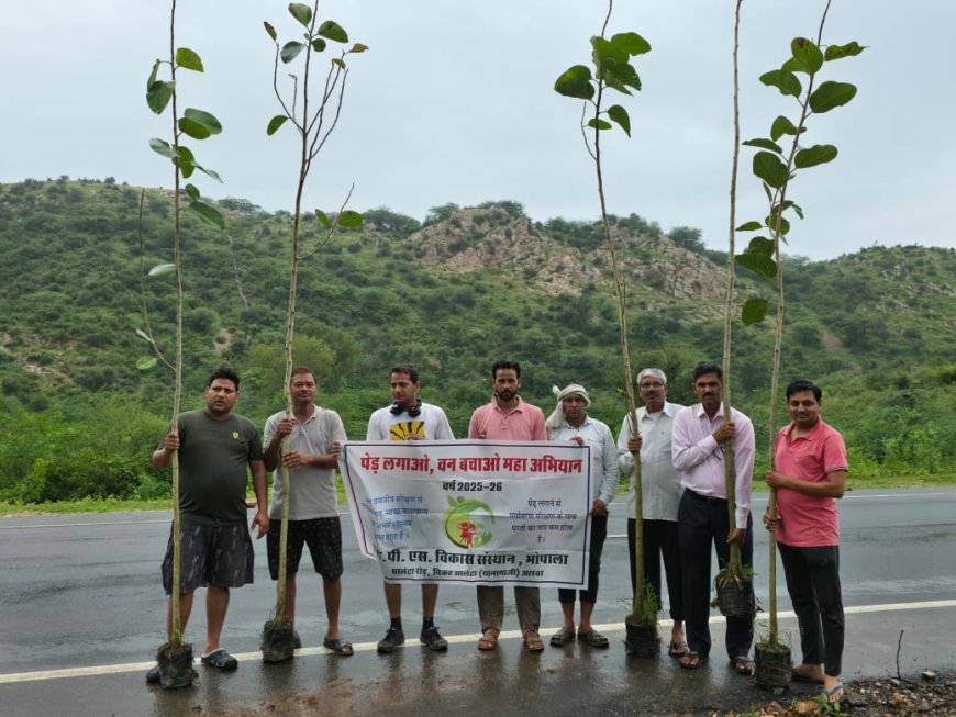 पेड़ ईश्वर स्वरूप इन्हें सरंक्षण देना जरूरी - मीणा