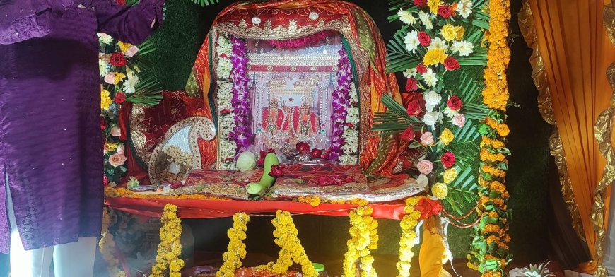 सकराय धाम में द्वितीय मां शाकंभरी सिंधरा एवं झूलन महोत्सव संपन्न