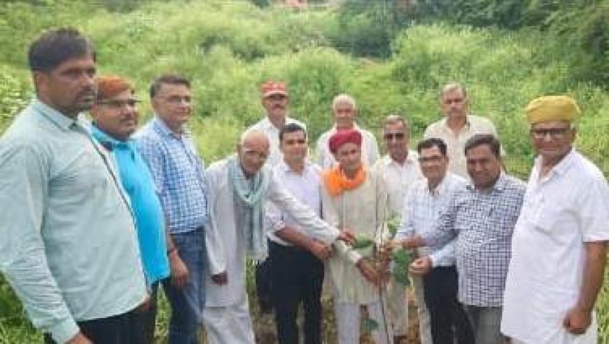 हरियालो राजस्थान के तहत बूढ बालाजी धाम आश्रम परिसर में लगाये  50 पेड़