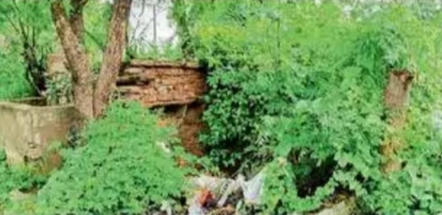 जानलेवा साबित हो सकता है खुला कुआं