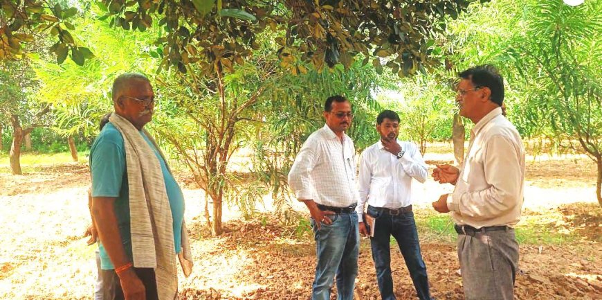 फलदार बगीचों की समस्याओं का अवलोकन कर बताया समाधान