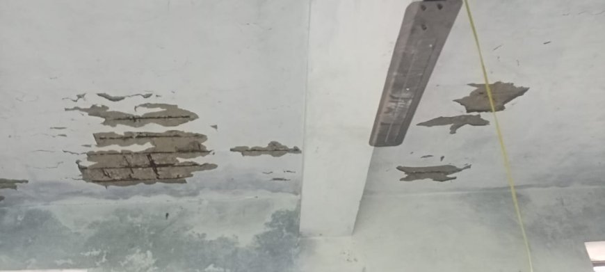 हाल-ए-सरकारी स्कूल :स्कूल की छत का गिरा प्लास्टर , बाल-बाल बचे छात्र, ग्रामीणों ने जताया गुस्सा