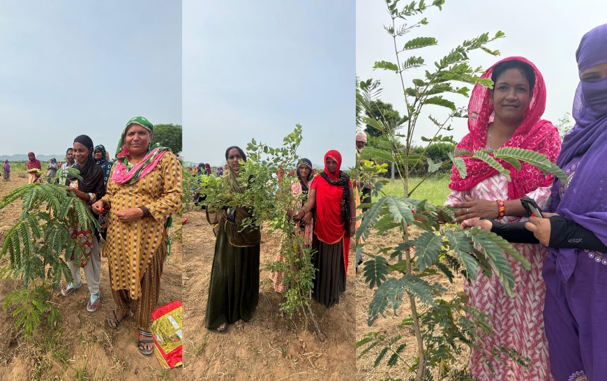 रक्षाबंधन पर पौधों की रक्षा का संकल्प, शहरी मनरेगा कर्मियों का अनोखा नवाचार