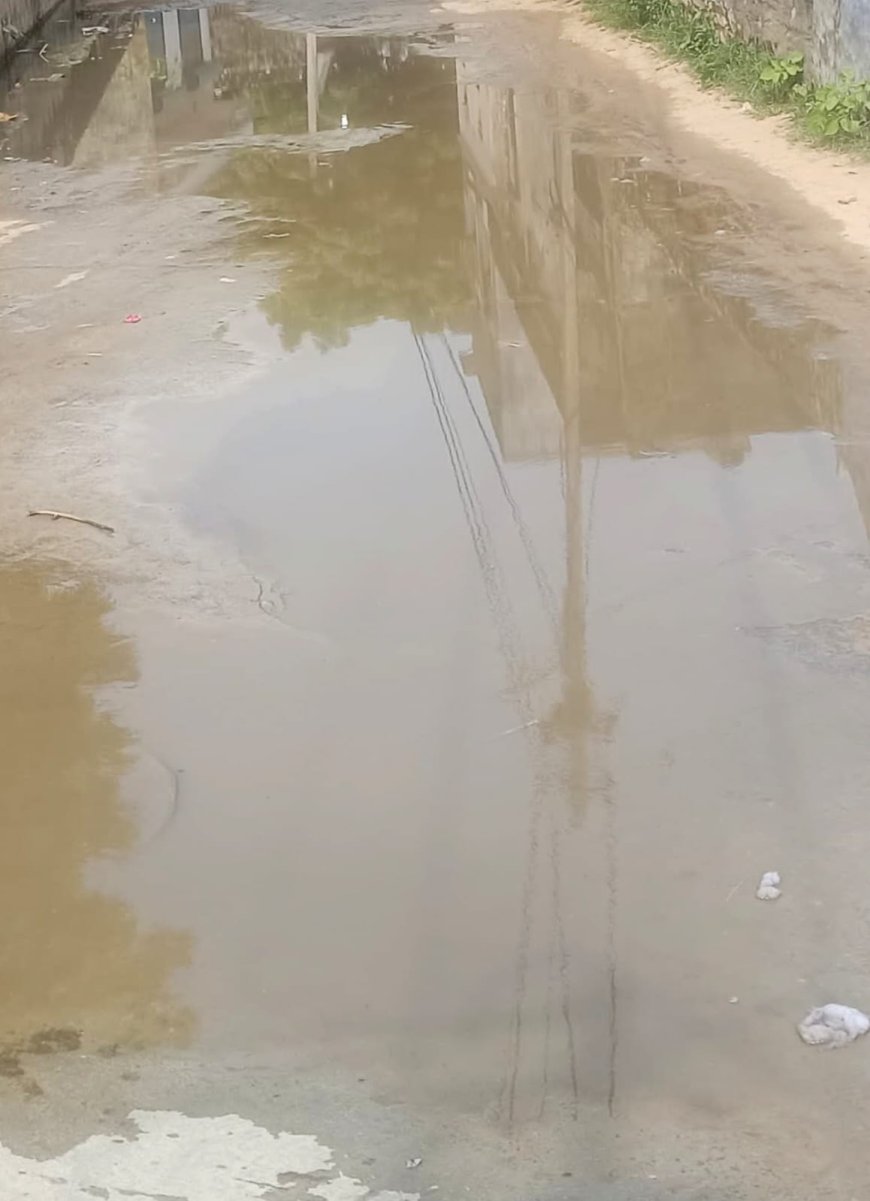 सफाई के अभाव में गुणावती में फैला गन्दा पानी