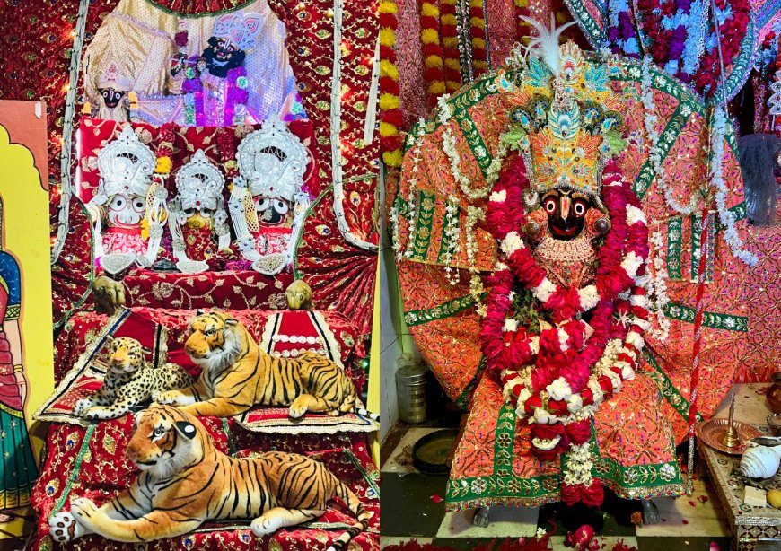 जन-जन के आस्था का केंद्र चौपड़ बाजार स्थित श्री जगन्नाथ मंदिर पर  16 अगस्त को होगा भव्य दशम दही हांडी महोत्सव