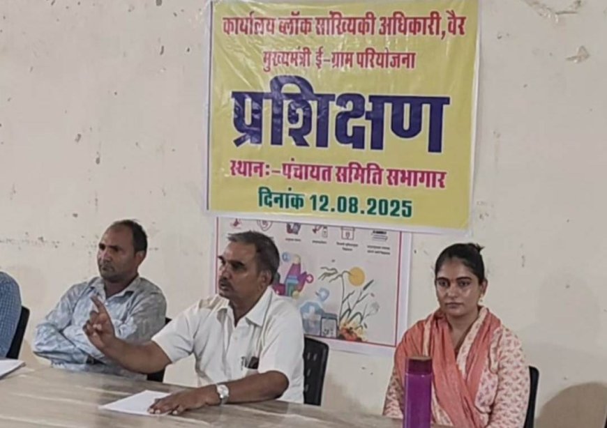 मुख्यमंत्री ई ग्राम प्रशिक्षण कार्यशाला का आयोजन