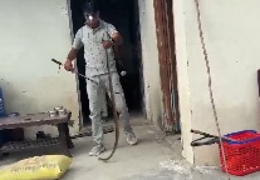 पुलिस चौकी से सांप को रेस्क्यू कर जंगल में छोड़ा