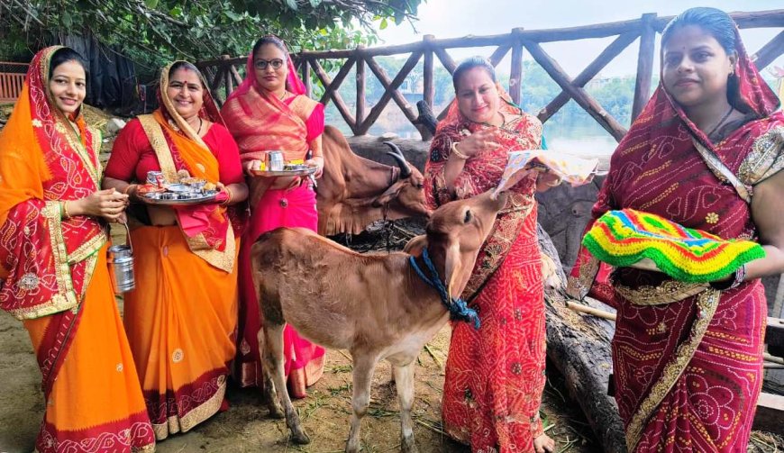 बछ बारस पर देवरिया बालाजी गौशाला में महिलाओं ने की गाय के बछड़े की पूजा