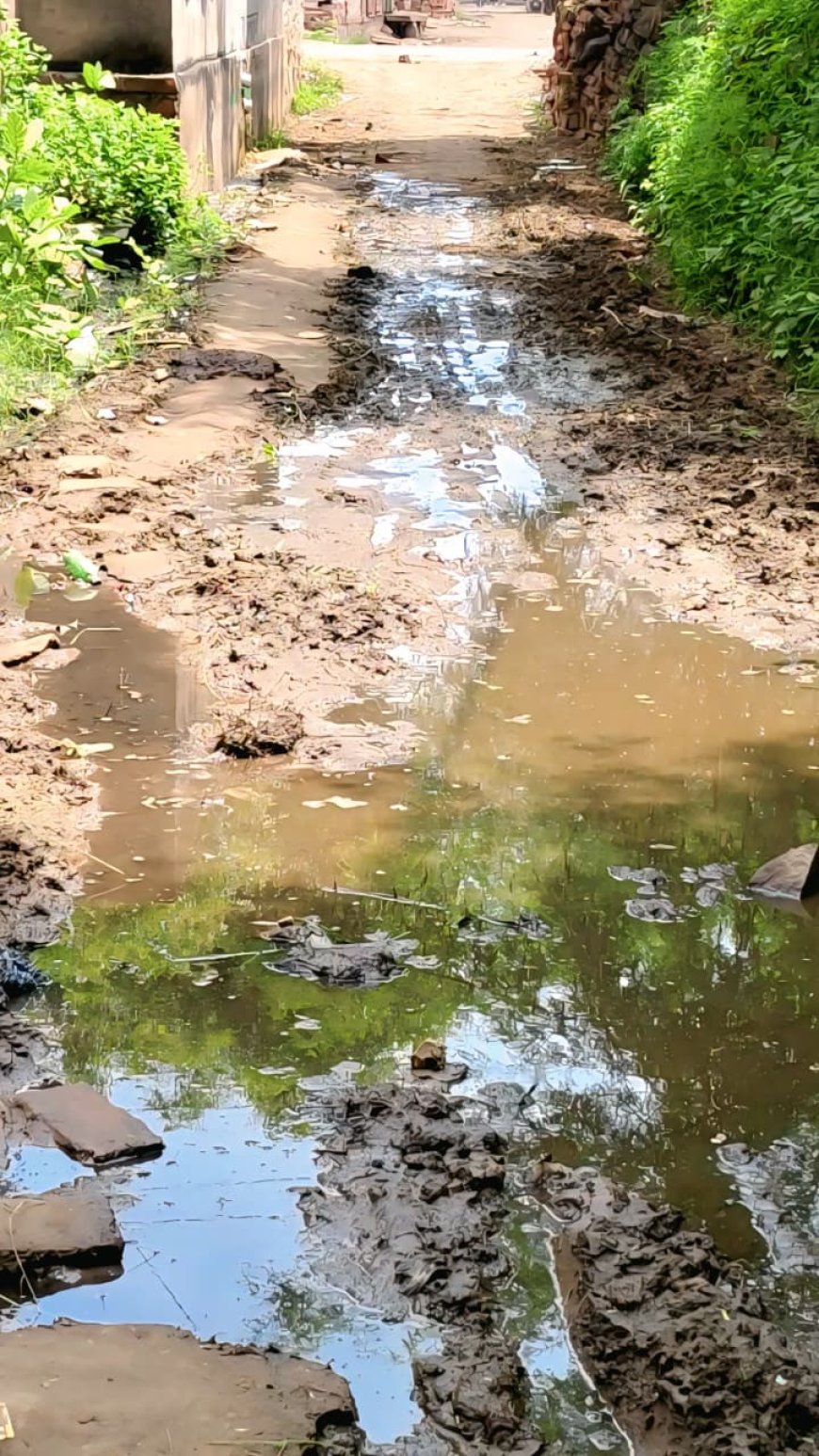 वटीकरा ग्राम पंचायत की सफाई व्यवस्था ठप – लाखों का बजट, फिर भी गंदगी के ढेर