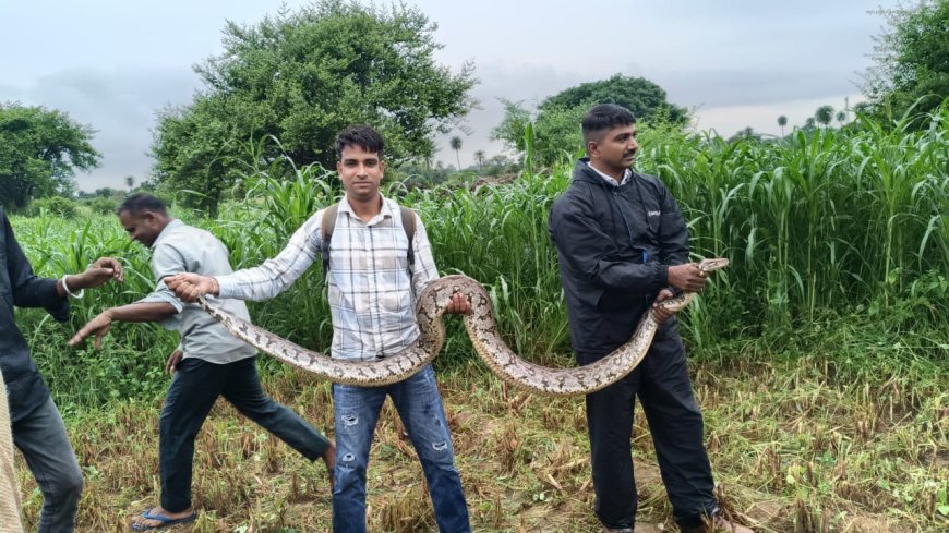 गुरला क्षेत्र के सुदरपुरा में 9 फिट अजघर का रेशक्यु कर जंगल में छोड़ा