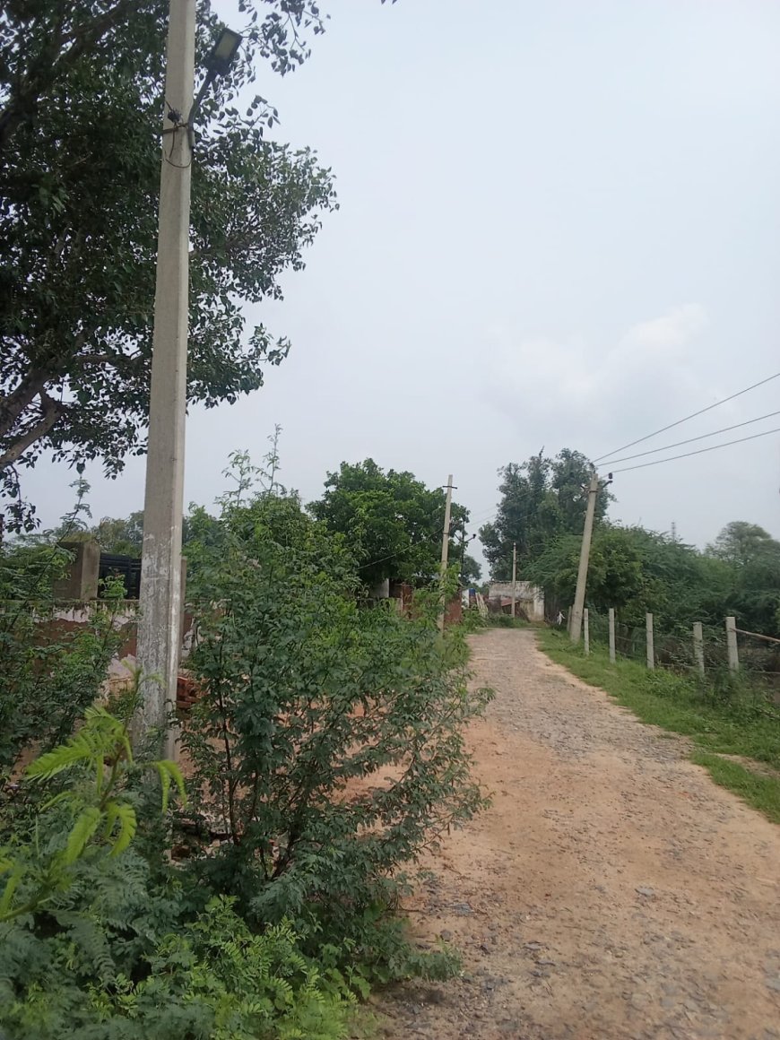 खंभों की शोभा बढ़ा रहीं खराब लाइटें