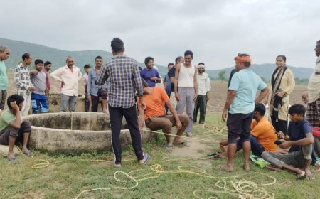 कोट बांध के कुओं में गिरे दो गौवंश, घंटों की मशक्कत के बाद गौसेवको ने ग्रामीणों की मदद से निकाले सकुशल बाहर
