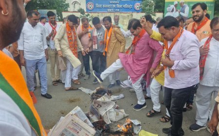 भाजपा ने निकाला मौन जुलूस, दिया धरना , किया प्रदर्शन, राहुल गांधी का फूंका पुतला