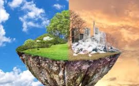 हठधर्मिता प्रकृति और मानव दोनों के लिए घातक