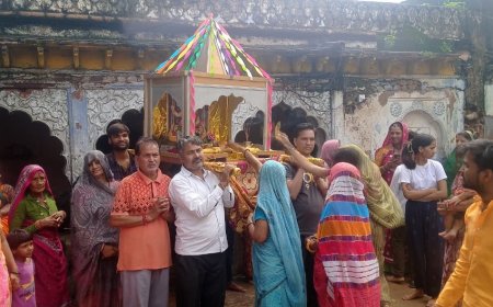 जलझूलनी एकादशी पर मंदिरों से निकाले हिडोले