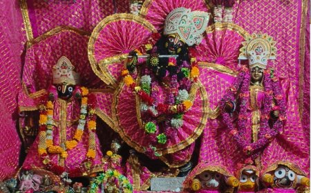 धूमधाम से मनाई जलझूलनी एकादशी