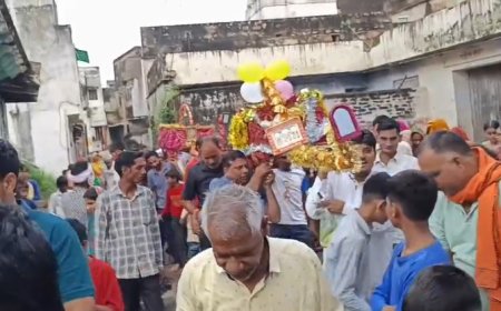 पृथ्वीपुरा ग्राम में जलझूलनी एकादशी पर ठाकुर जी की भव्य शोभायात्रा निकाली