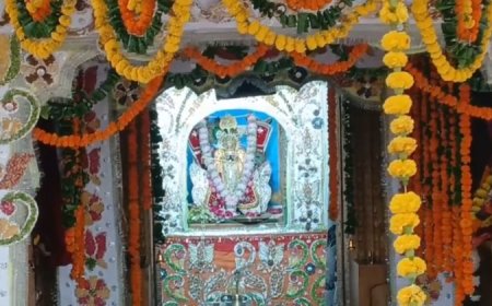 नौगांवा में सांवरिया सेठ मंदिर में जलझूलनी एकादशी महोत्सव - ठाकुर जी की पालकी यात्रा में उमड़ा जनसैलाब