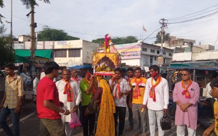 ठाकुर जी के निकाले डोले जलझूलनी एकादशी मनाई धूमधाम से मनाई