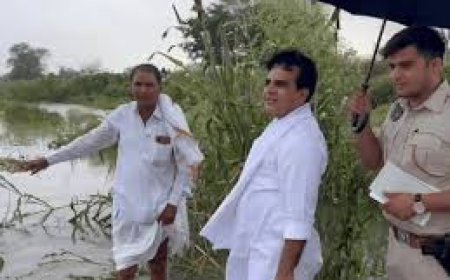 फसल खराबा देखने पानी में उतरे विधायक: खेतों में पहुंचकर किसानों से मिले, नुकसान की गिरदावरी के दिए निर्देश