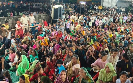 ऐतिहासिक रहा तेज़ाजी व डोल यात्रा मेला, नगरपालिका अन्ता द्वारा किए गए नवप्रयासों को नगरजनो ने सराहा