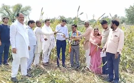 विधायक रमेश खींची ने क्षेत्र में अधिकारियों के साथ खराब हुई फसल किया निरीक्षण