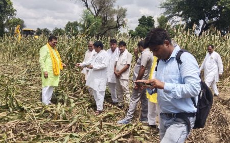 विधायक रमेश खींची ने किसानों के साथ खेतों पहुंचकर खराब फसलों का किया निरीक्षण