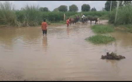 लुहासा - जटपुरा सड़क मार्ग पर महात्मा गांधी कॉलेज के पास  जल-भराव से जन जीवन अस्त व्यस्त