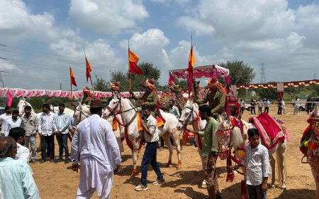 टोडपुरा मे शेखावाटी हार्स शो का शानदार एवं जानदार हुआ आगाज