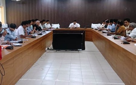 जिले में औद्योगिक विकास के लिये सभी संस्थाऐं सहभागिता से आगे आयें - जिला कलक्टर