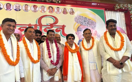 महवा में ऐतिहासिक उत्सव के रूप में मनाया विधायक राजेंद्र मीना का जन्मदिवस