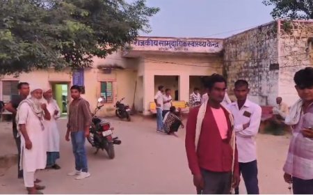 11 केवी तार का पोल टूटकर कड़बी से भरे ट्रैक्टर के ऊपर गिरा, चालक की दर्दनाक मौत