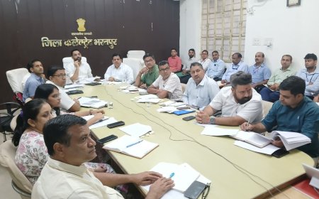 जिला कलक्टर ने ग्रामीण एवं शहरी सेवा शिविरों वीसी के माध्यम की समीक्षा